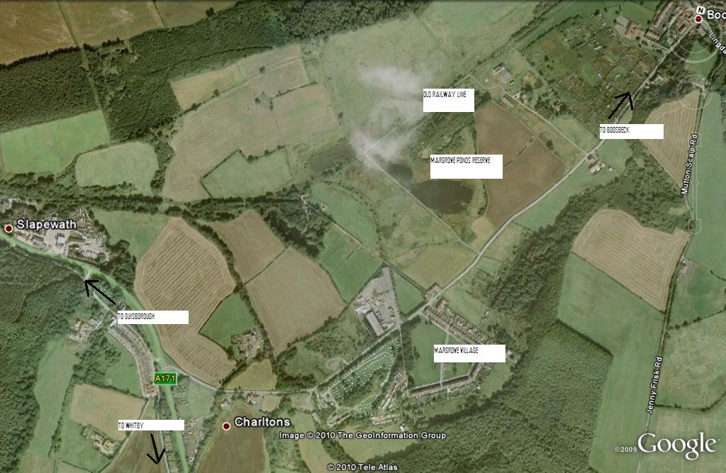 MargrovePonds1