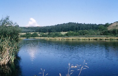 MargrovePonds2