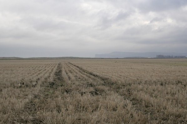 The Coastal Fields