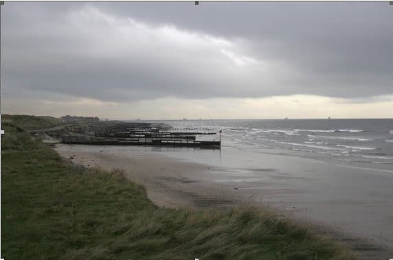 strayforeshore