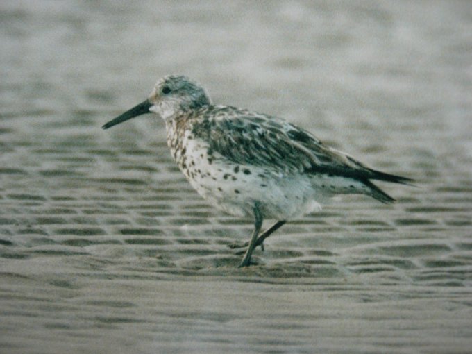 1995 - 99